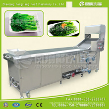 Automatische Gemüse-Blanchiermaschine BT-2000, Blancher-Maschine, Vorkochmaschine, Salat-Blanchiermaschine